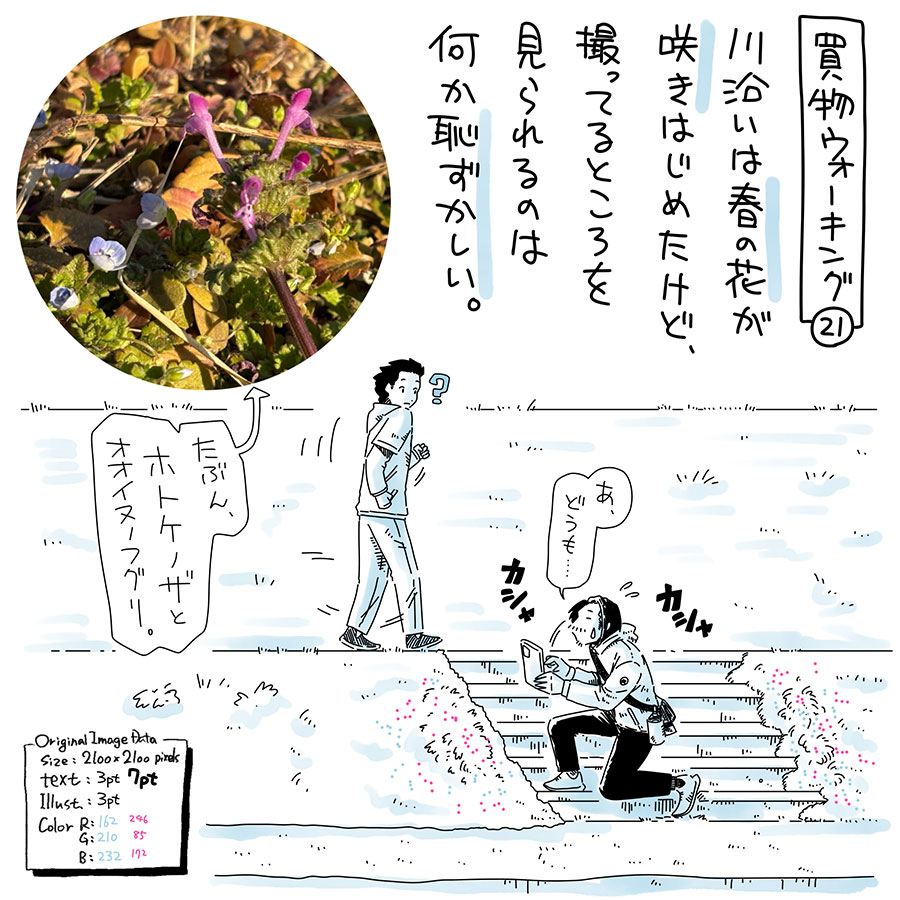 ユアサミズキのイラスト絵日記1コママンガ
このホトケノザ(シソ科)は
春の七草のホトケノザ(キク科)とは
違うものだそうな。
オオイヌノフグリも、
・オオイヌノフグリ:水色の花 - ヨーロッパ原産/帰化
・イヌノフグリ:薄紫色の花 - 在来種/絶滅危惧II種
…だそうな。知らなかったよ。
フグリ形状なのは花ではなくて実の方だそうな。
全然しらなかった…。
勉強になったね!