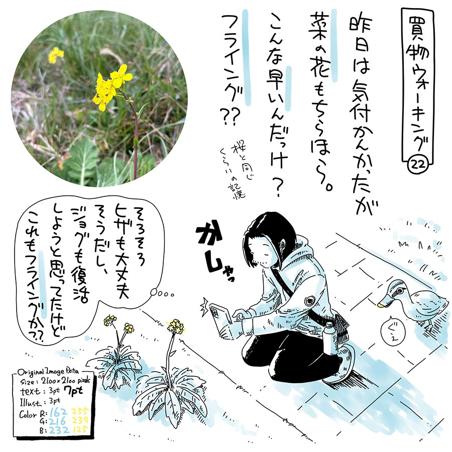 ユアサミズキのイラスト絵日記1コママンガ
桜満開の時期にちょいずれで
菜の花満開のイメージなんだけどな。
まぁアブラナ科全般が菜の花だから
種類自体が違うんかもしれんけど。
全然関係ないけど、カルガモたちは
人が近くにいても全然逃げない。
鳩も全然逃げない。
雀たちはフライング気味に逃げる。