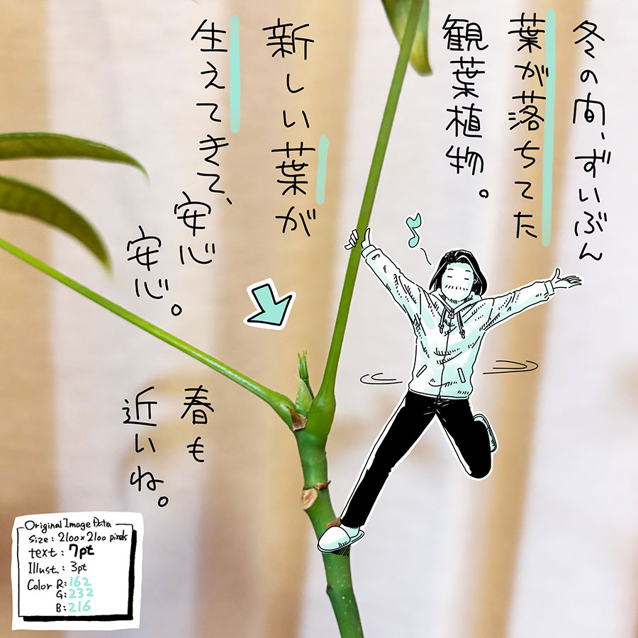 ユアサミズキのイラスト絵日記1コママンガ
いまだに水やりのタイミングが
正しいのかどうか自信がないよ。
多肉植物たちは
冬場でも割と元気だった。
自分の新芽は生えているのか
自問自答。
とりあえず水やり(ビール)しよう。