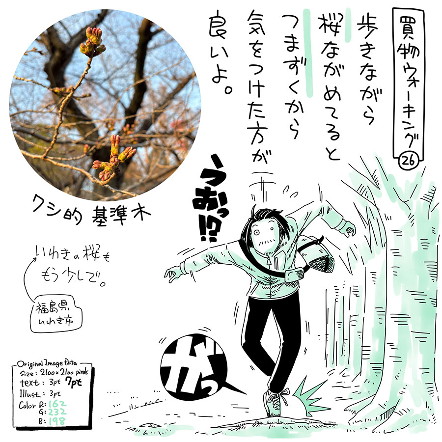 ユアサミズキのイラスト絵日記1コママンガ
今週末くらいには開花しそうだな〜
って、思いながら歩いてたけど、
今 地方ニュース見たら、
本当の基準木は明日あたりに
開花しそう…とのこと。
全然関係ないけど、
アスファルトをやぶって出てくる
木々の根っこは、力強くて、好き。
でも気をつけて!
こけるよ!