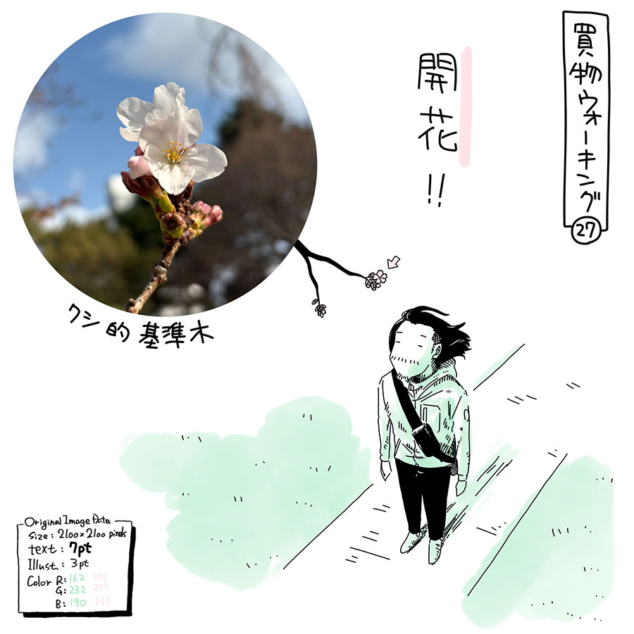 ユアサミズキのイラスト絵日記1コママンガ
昨日は見れてなかったけど、
昨日くらいから開花してたんかな?
木によってはしっかり
咲いてるのもあって、
週明けも暖かそうだし、
一気に咲きそうね。
それにしても、
つぼみは濃いピンクなのに
花びらは白いの いとおかし。
明日からは花見ウォーキングになりそう。
